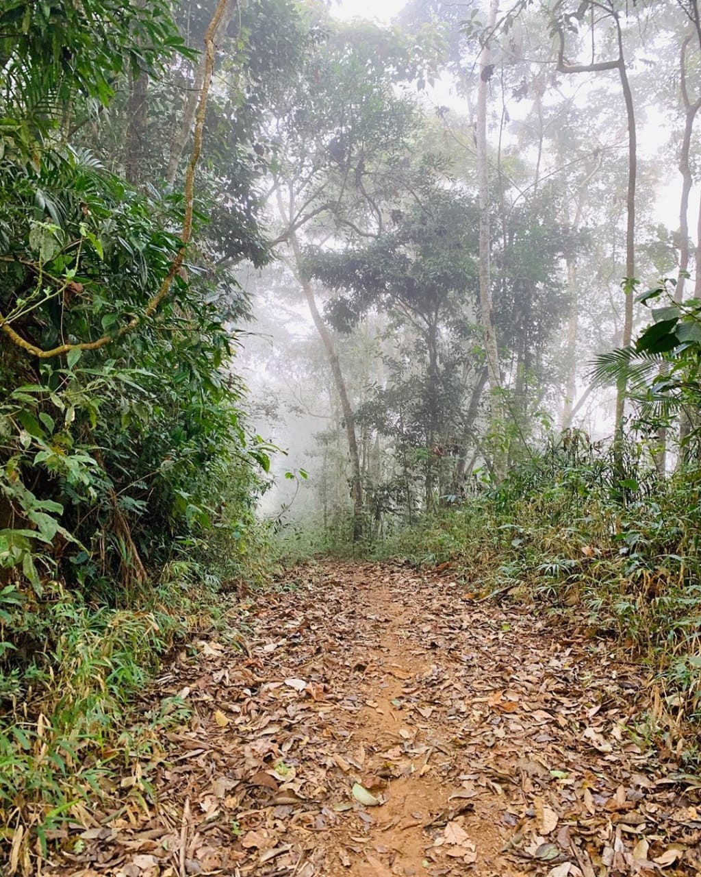 Parque da Serra do Biombo