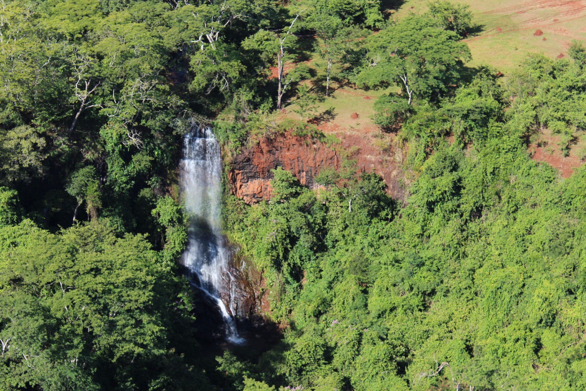 Parque Estadual do Pau Furado
