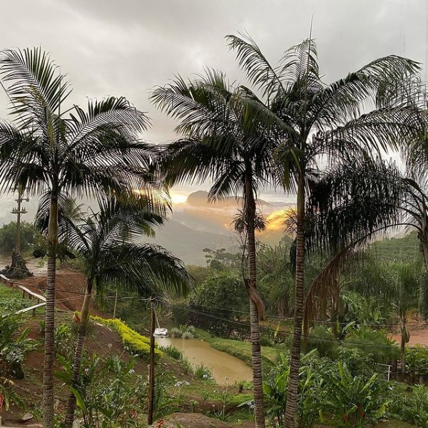  Cantinho da fazenda