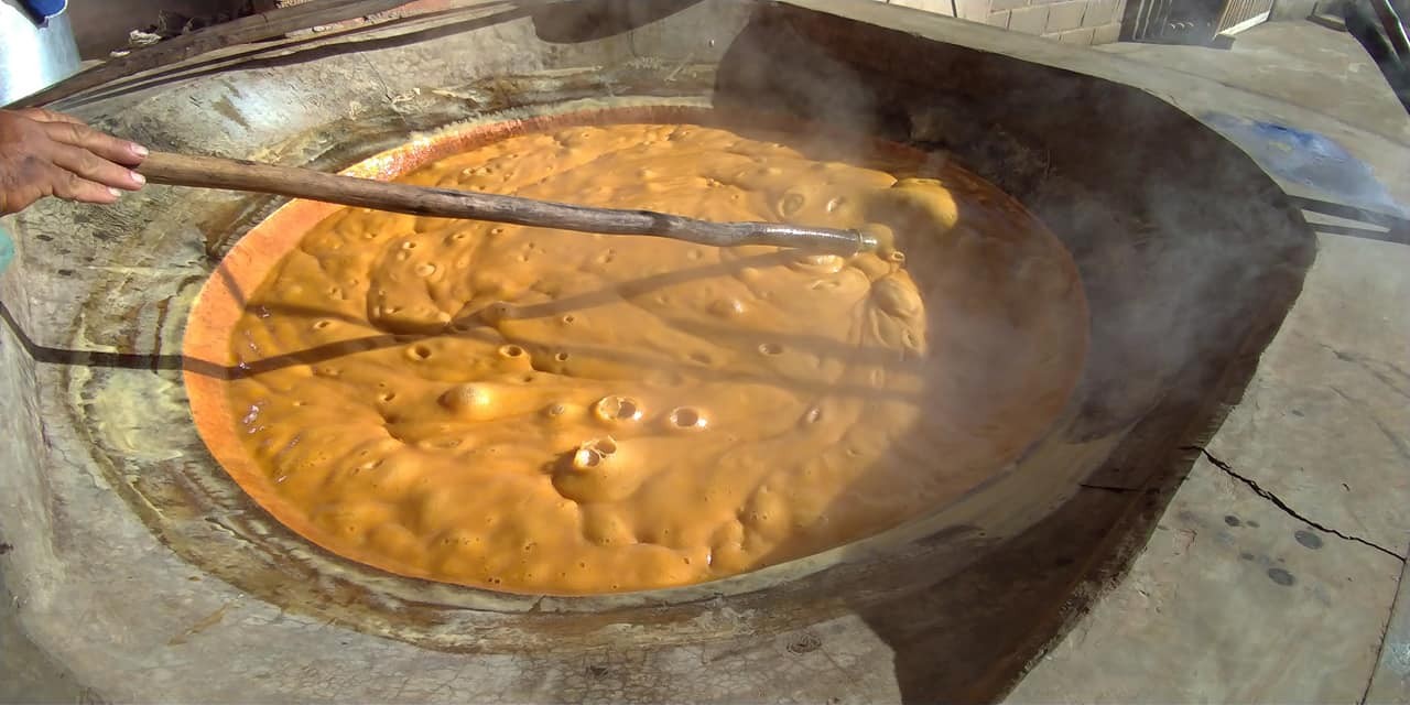 Sitio Beija-Flor