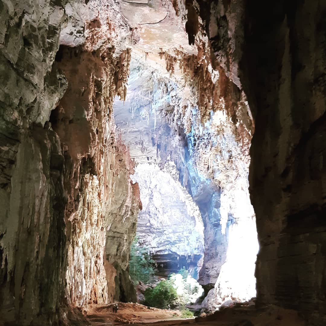 Primotur Turismo Ecologico