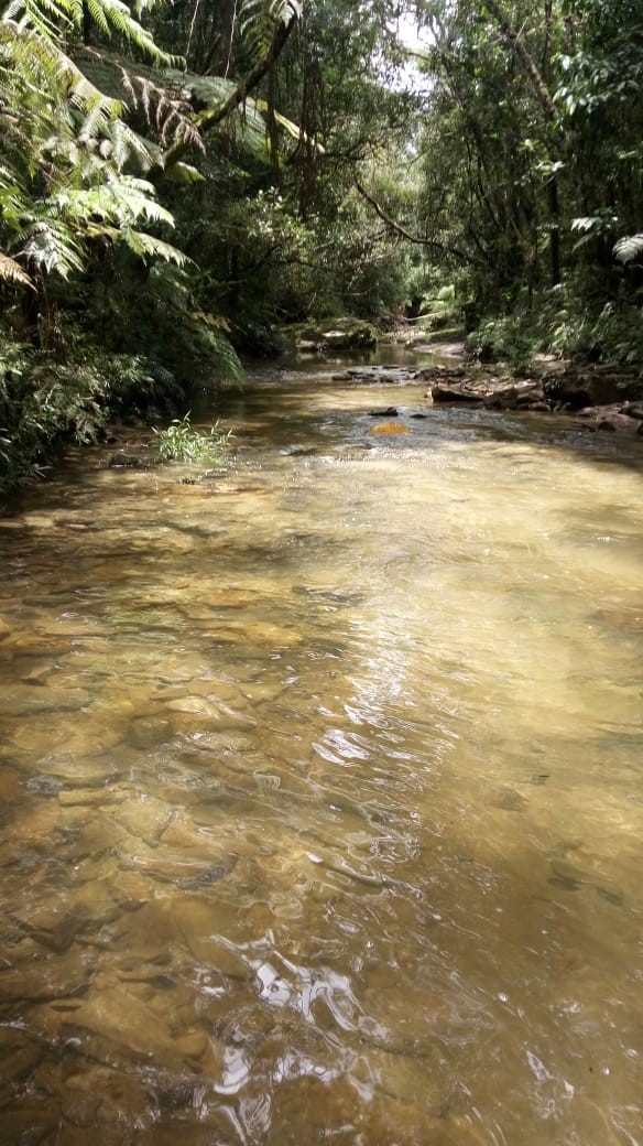 Tabatinga Ecoturismo