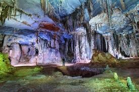 Safari Viagens