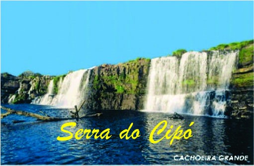 Safari Viagens