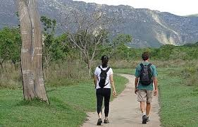 Safari Viagens