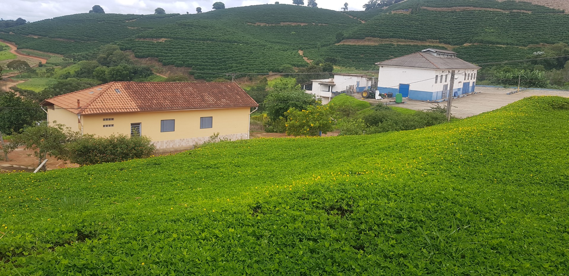 Araucária Ecoturismo