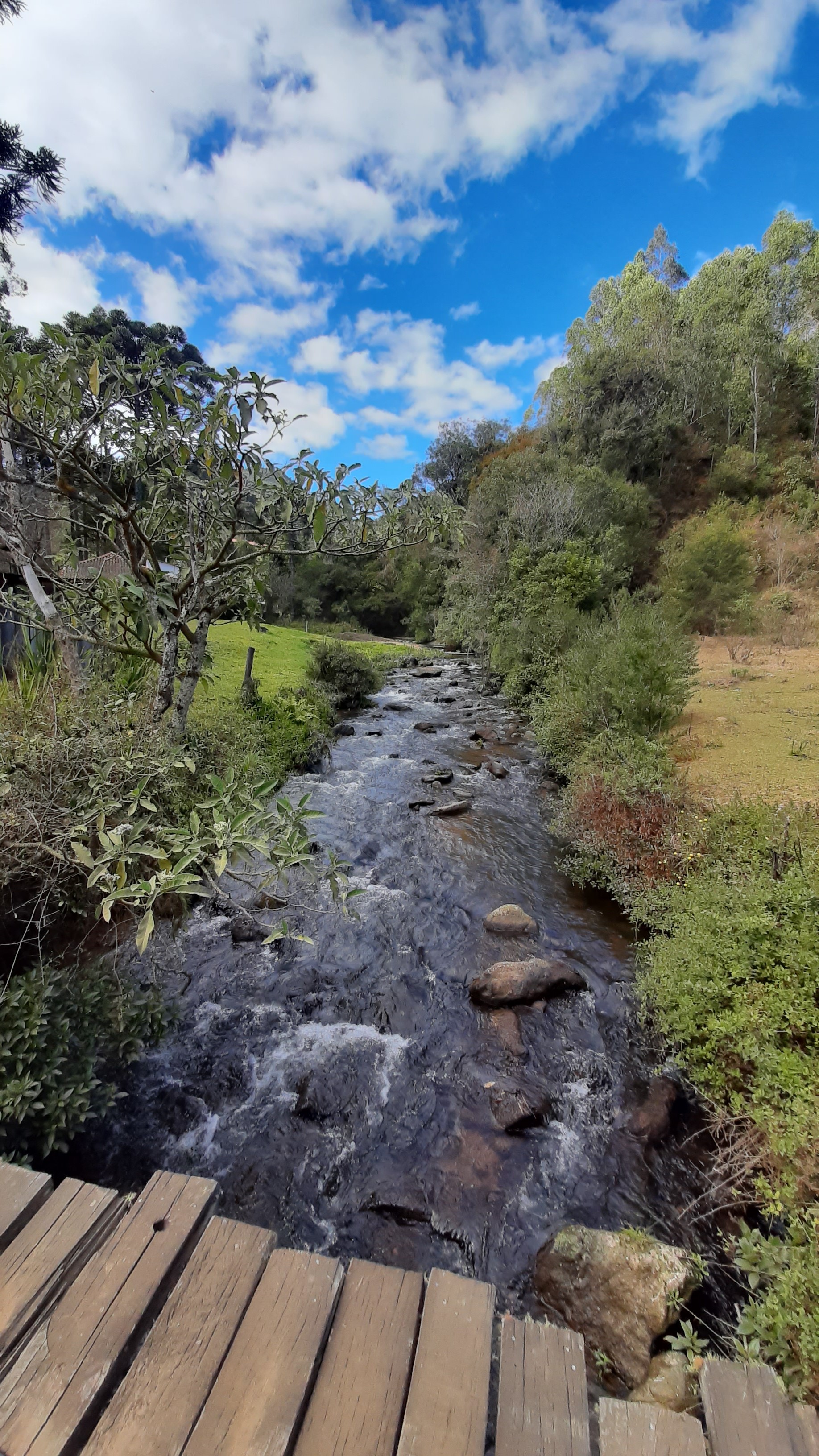Araucária Ecoturismo