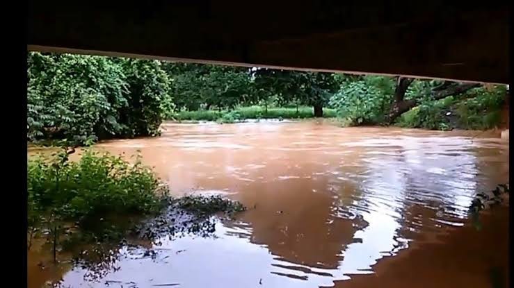 Rio Borrachudo