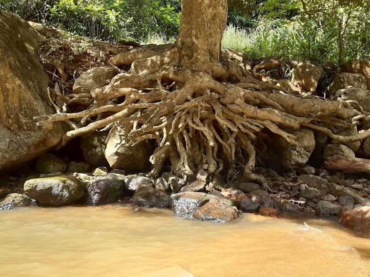 Cachoeira Usina da  Confusão
