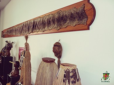 Museu de Etnologia Indígena e História Natural Academia	