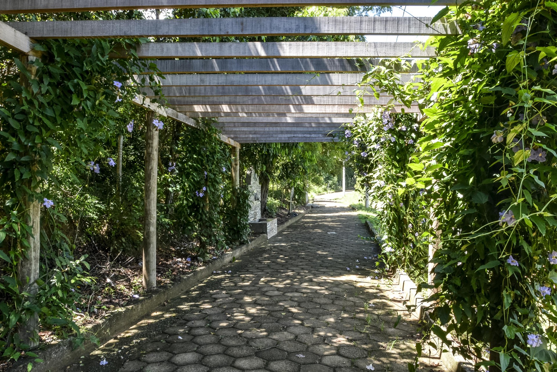 Parque Sô Sicca