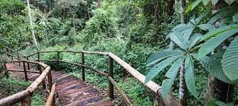 Centro de Proteção e Educação Ambiental da Mata do Jambreiro (CPEA)