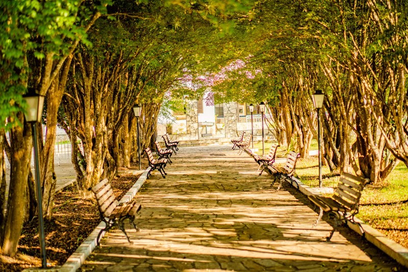 Hotel Fazenda Ramon