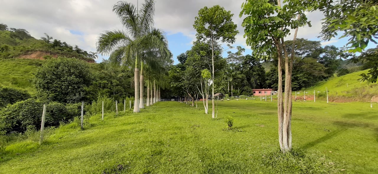 Cachoeira do Gê