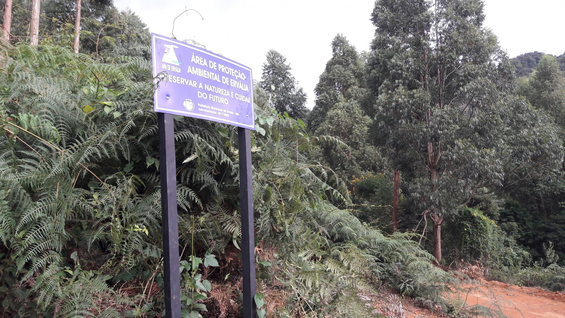 Área de preservação ambiental