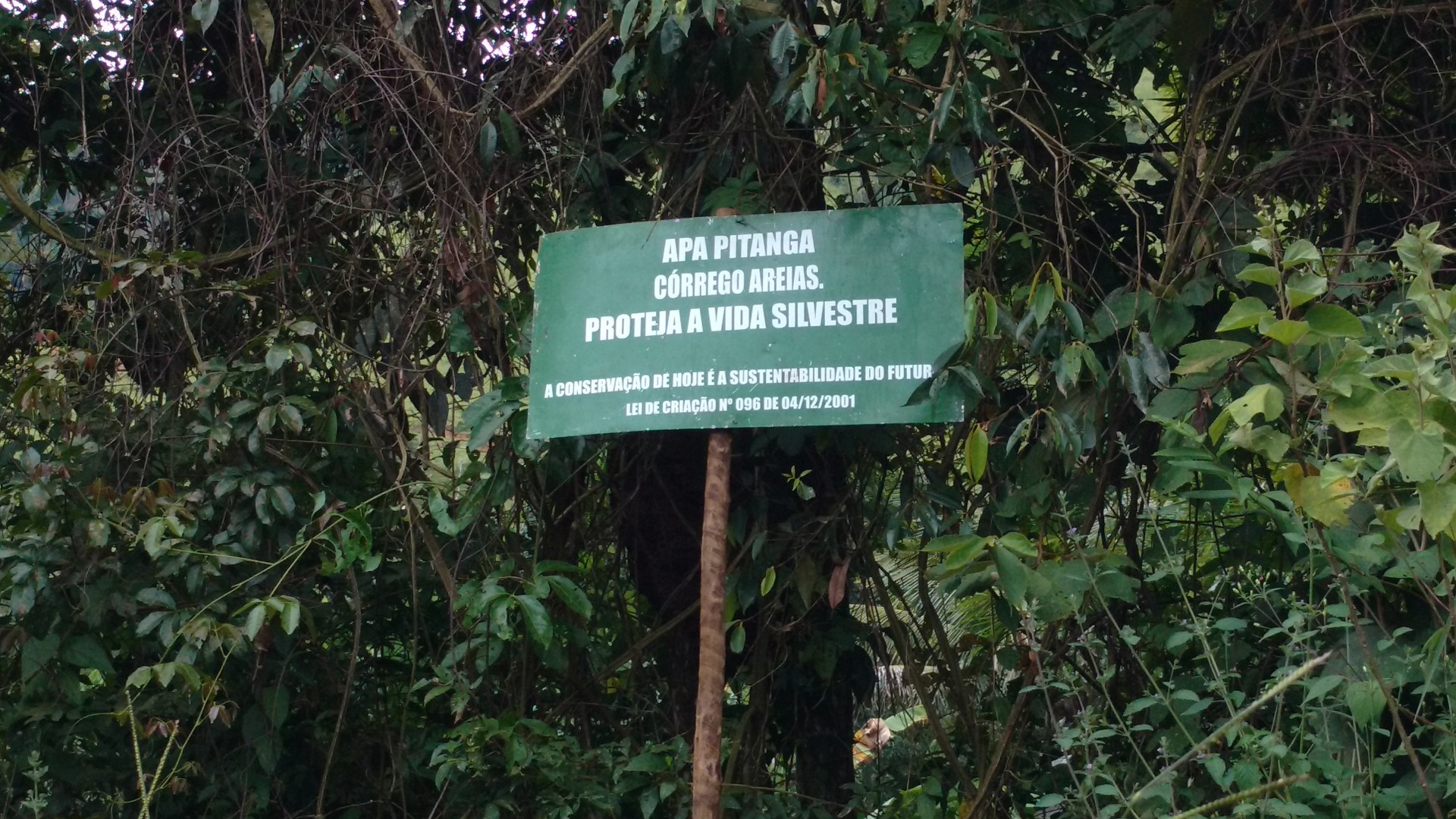 APA Pitanga