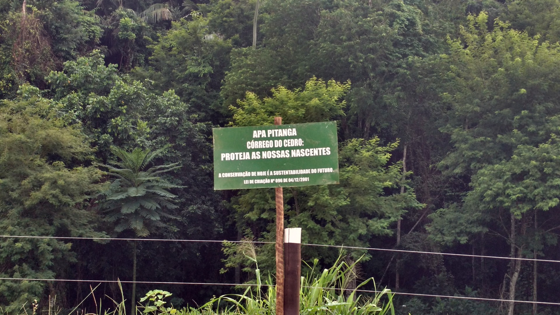 APA Pitanga