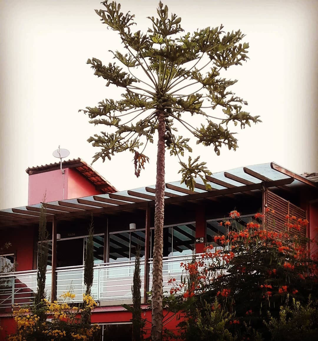 Pousada Verde Villas