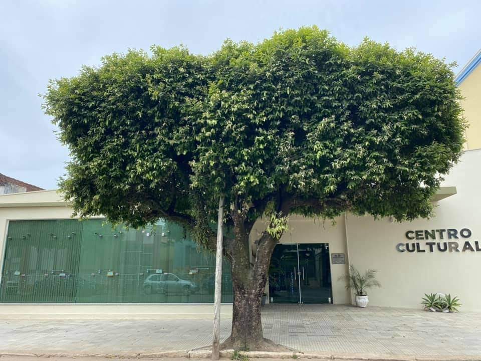 Biblioteca Municipal Poeta Péricles De Queiroz