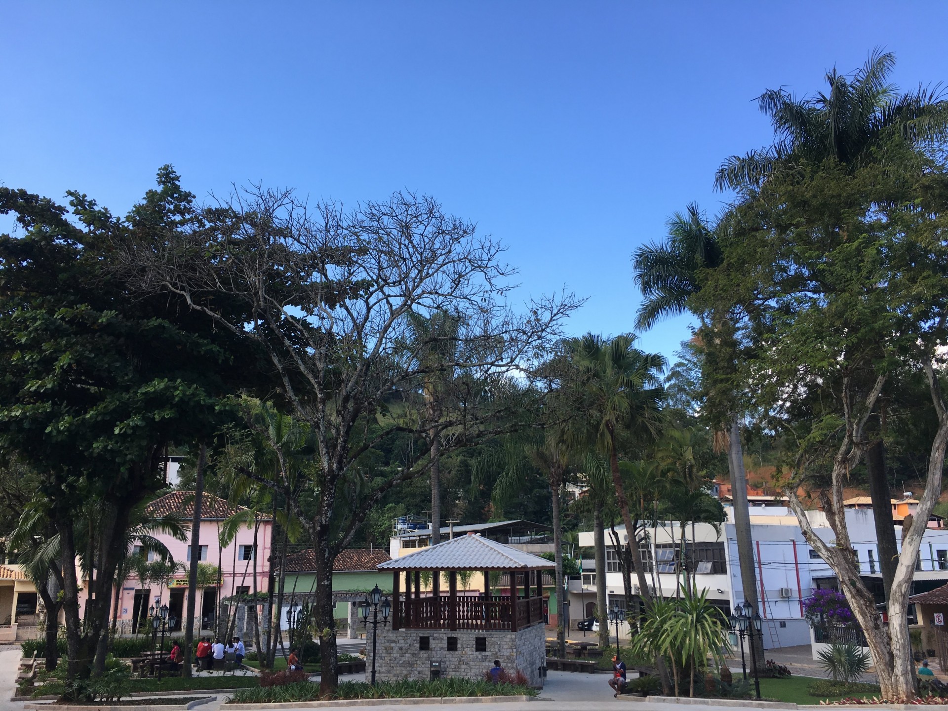 Jardim