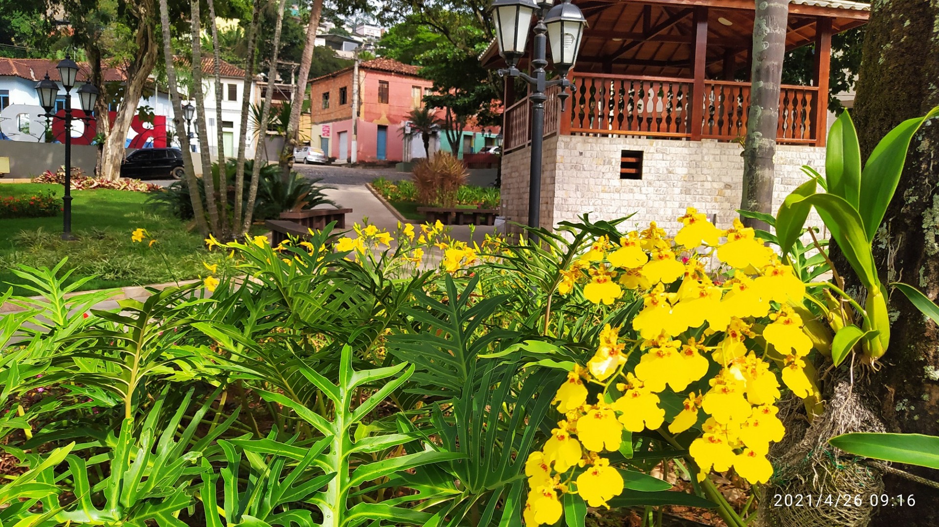 Jardim