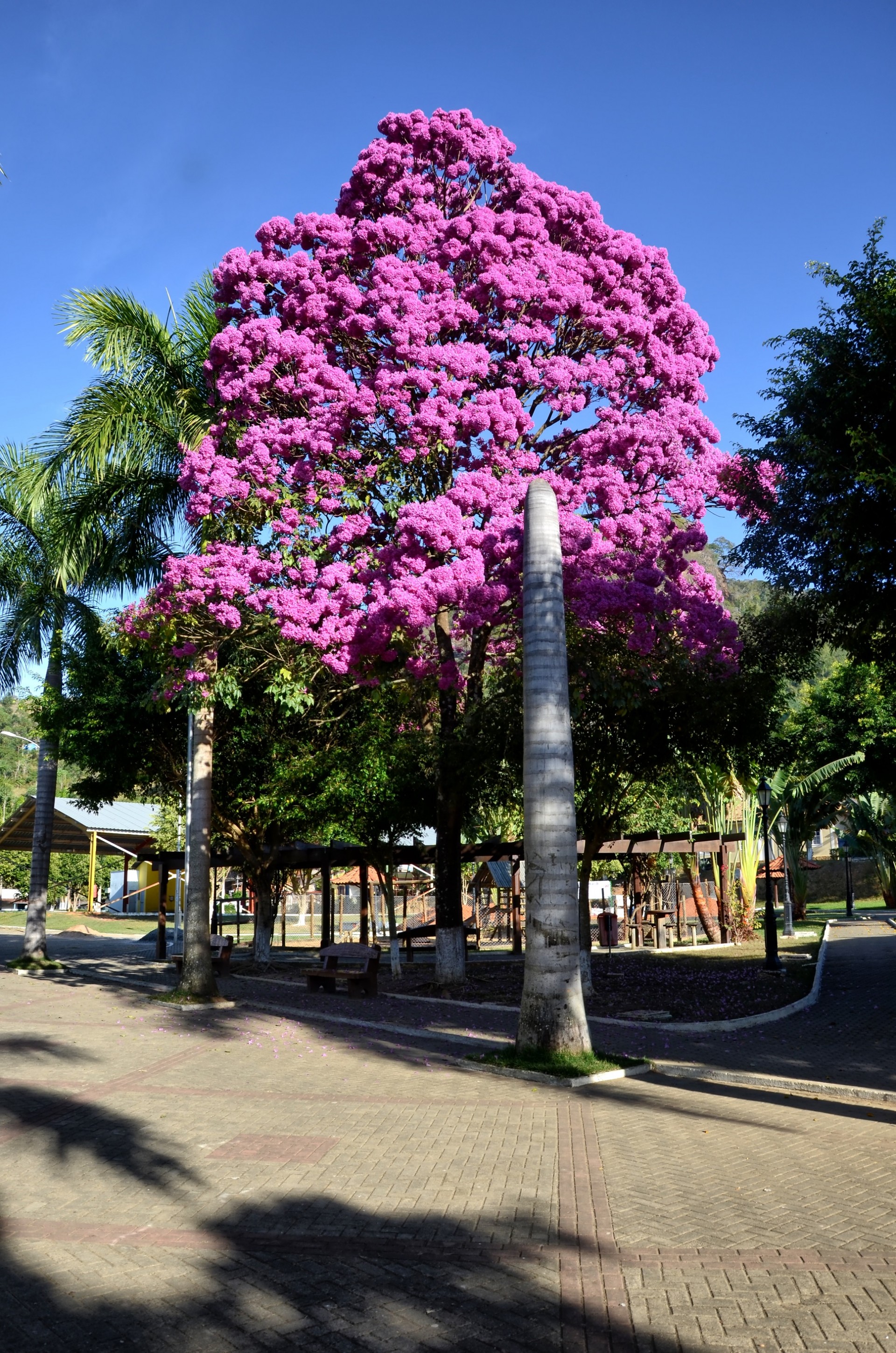 Praça Antônio Joaquim da Costa