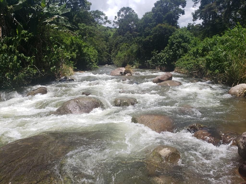 Piscina Natural 