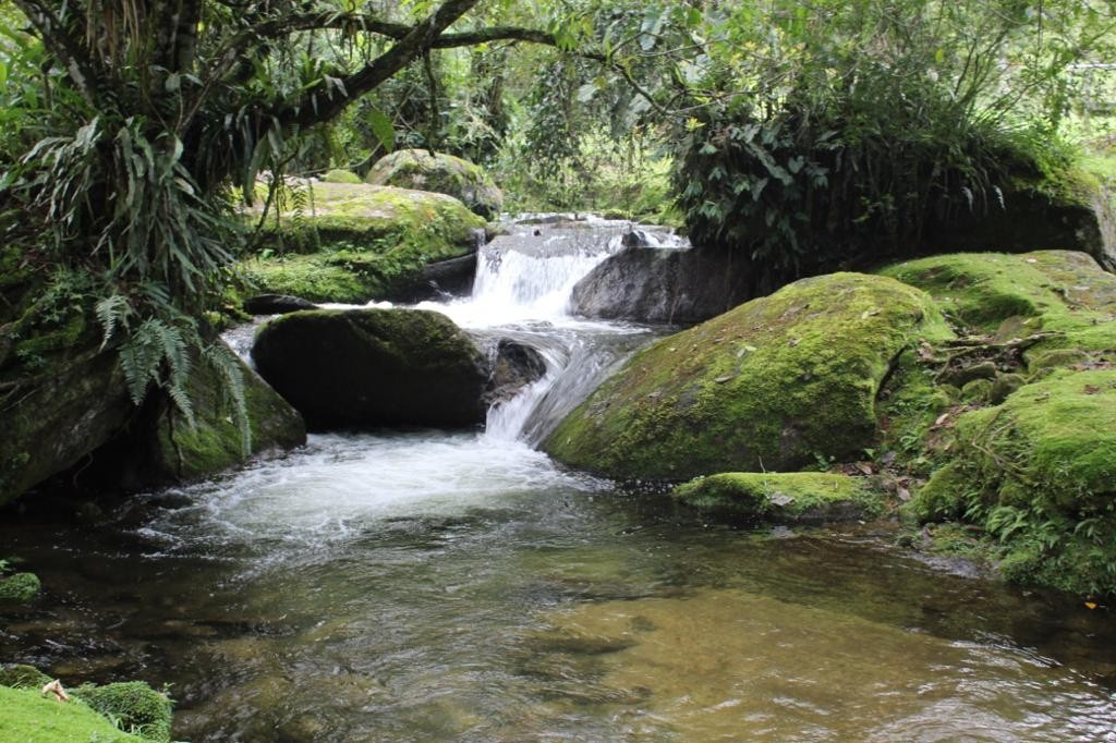 Cachoeira do Alcantilado 