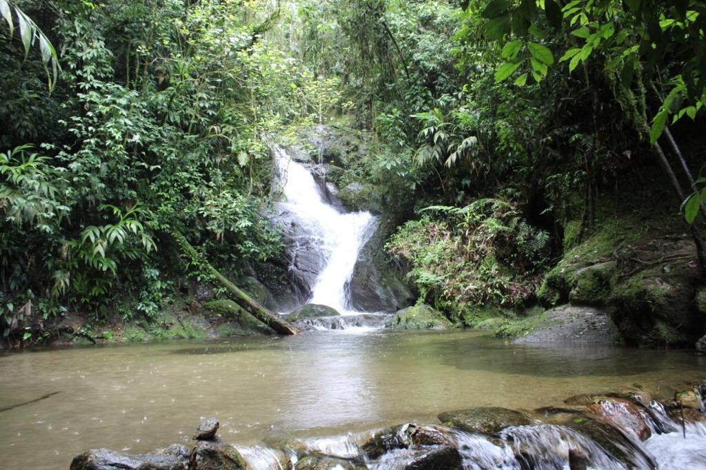 Cachoeira do Alcantilado 