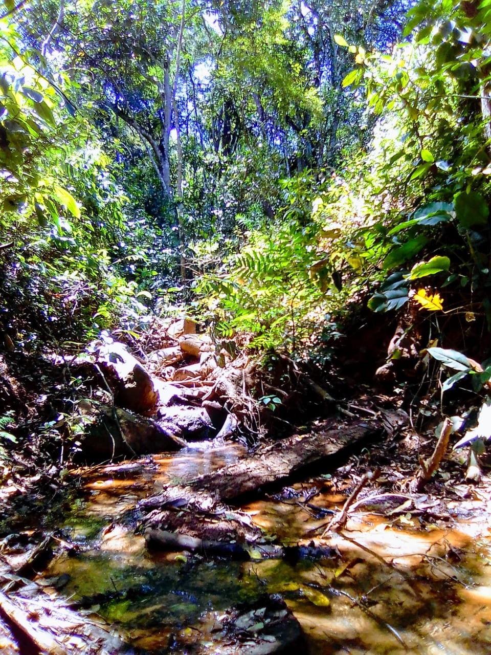 Cachoeira do Cristal