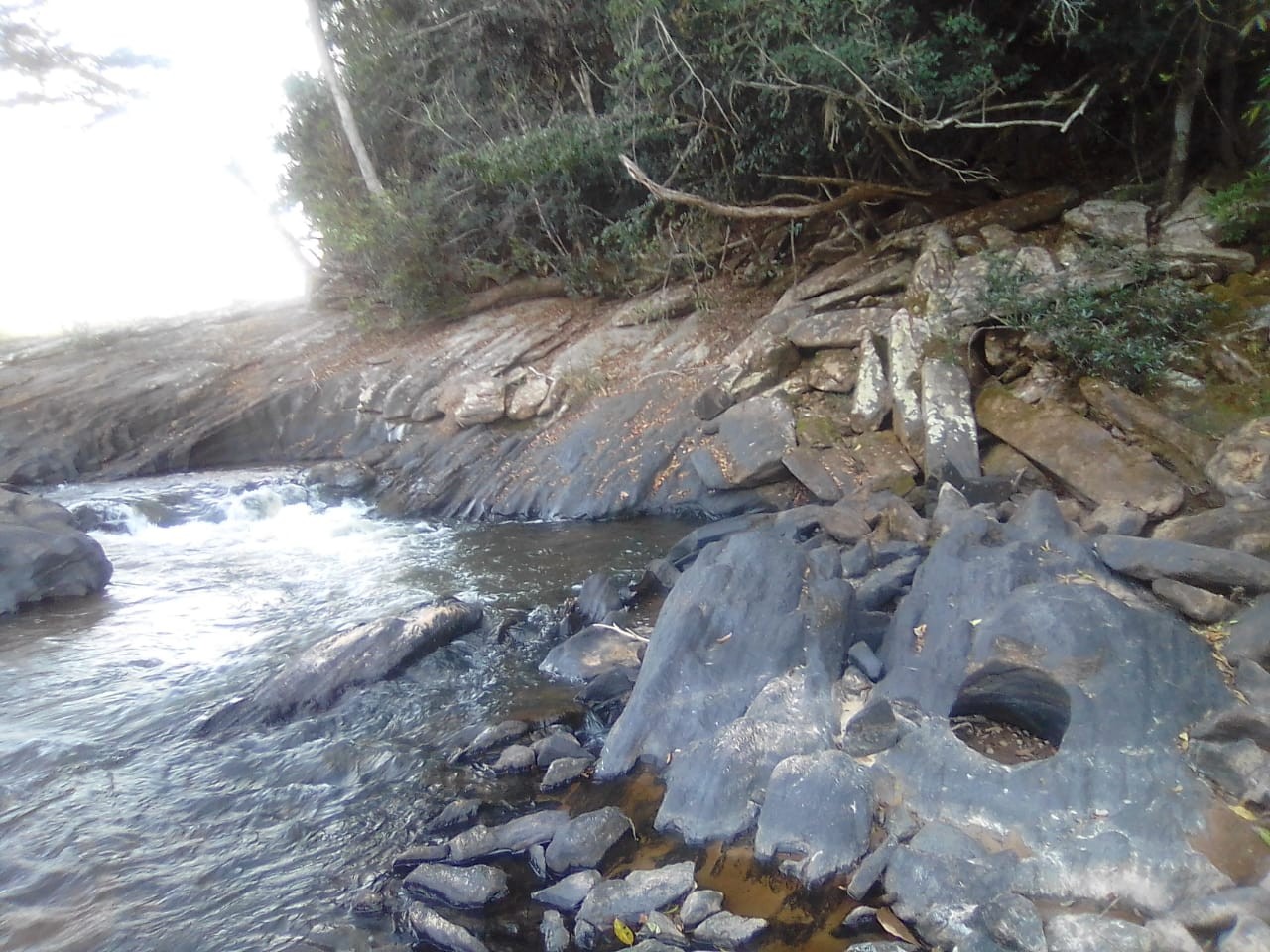 Poço do Limão 