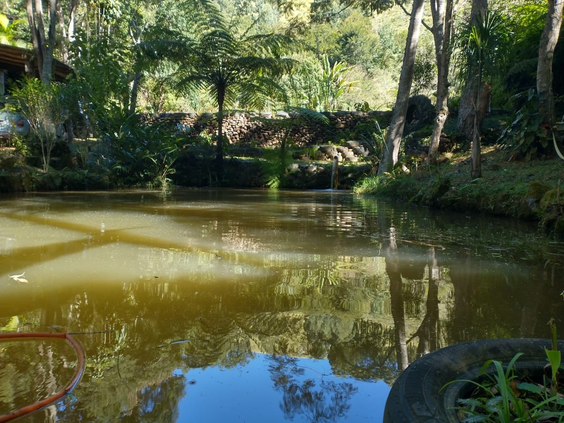 ETV - Espaço TrilhaViva