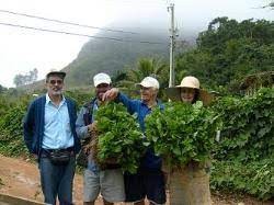 Viveiro de Mudas 
