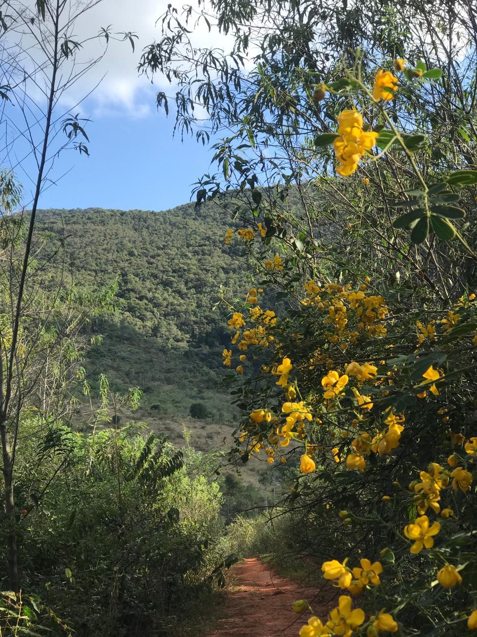 Serra do Caixeta