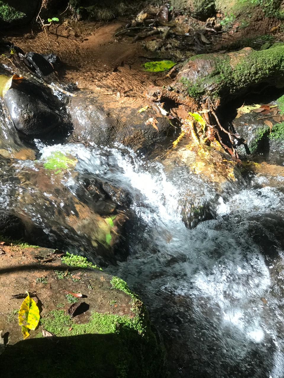 Serra do Caixeta