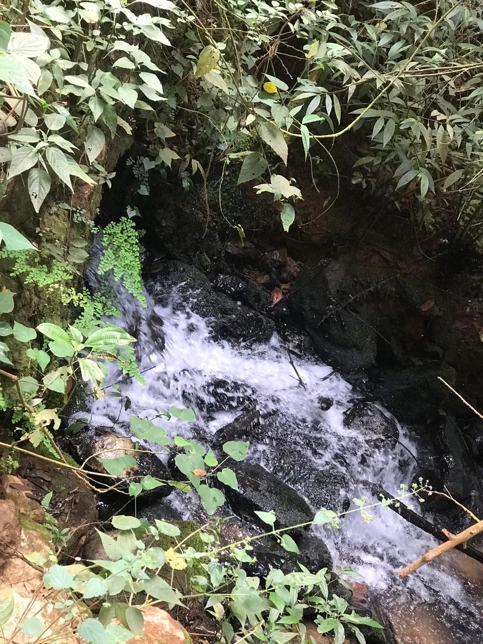 Serra do Caixeta