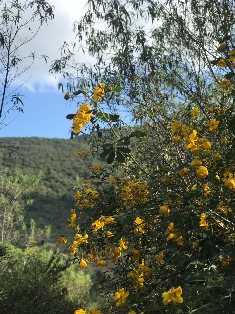 Serra do Caixeta