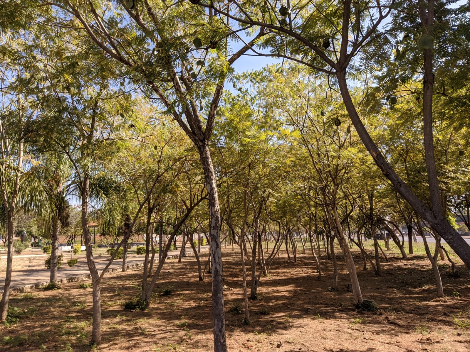 Praça Comendador Oswaldo Vicintin