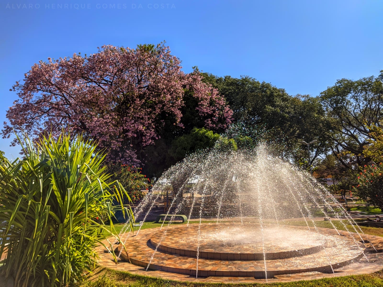 Praça de Eventos e Ilha da Saúde Dálton Saraiva