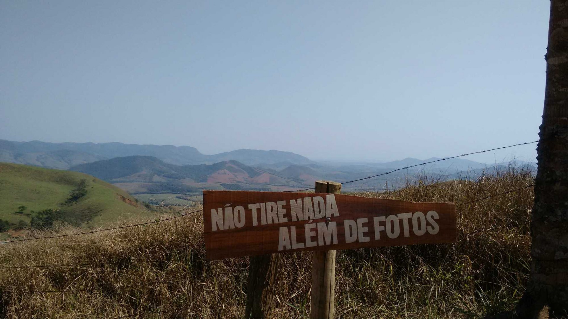 Horto Florestal