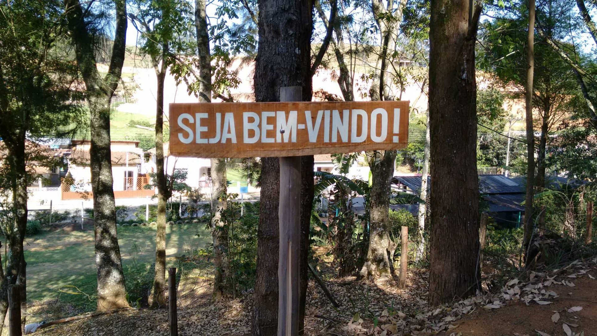 Horto Florestal