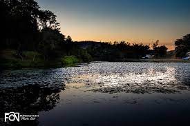 Horto Florestal