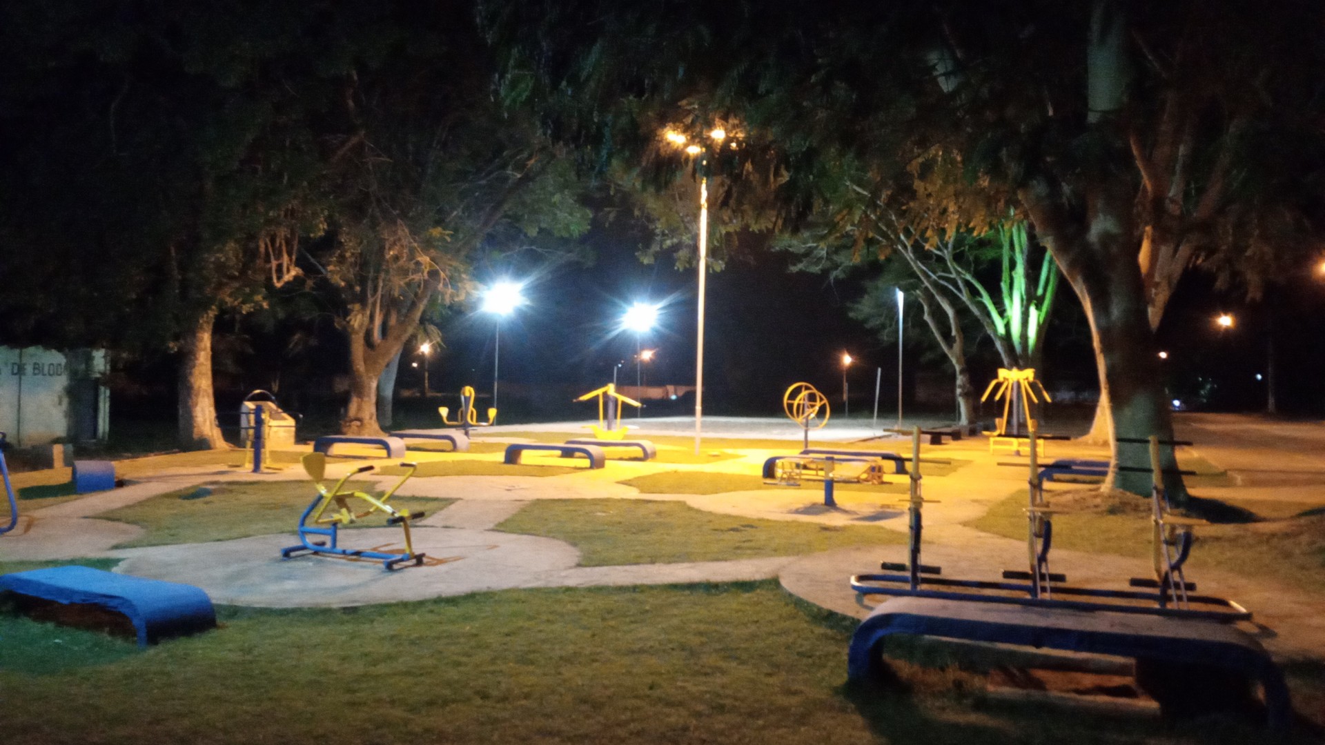 Ilha da Saúde de Guaicuí