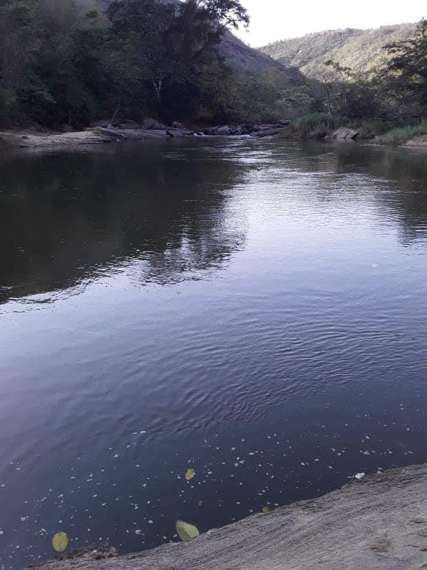 Bonito - Imagem 2