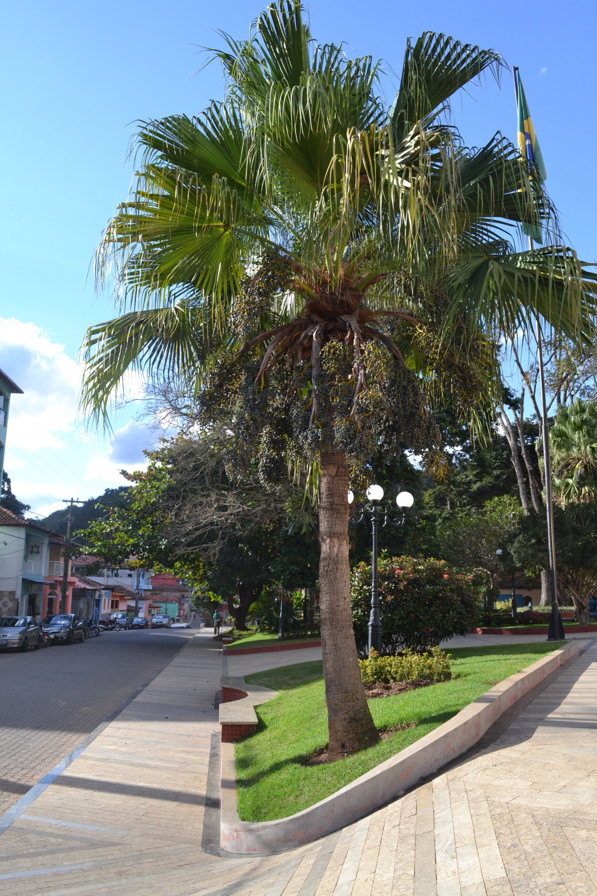 Praça Coronel Quincote