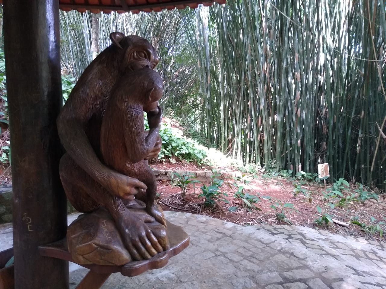 Parque Cachoeira do Rosalvo