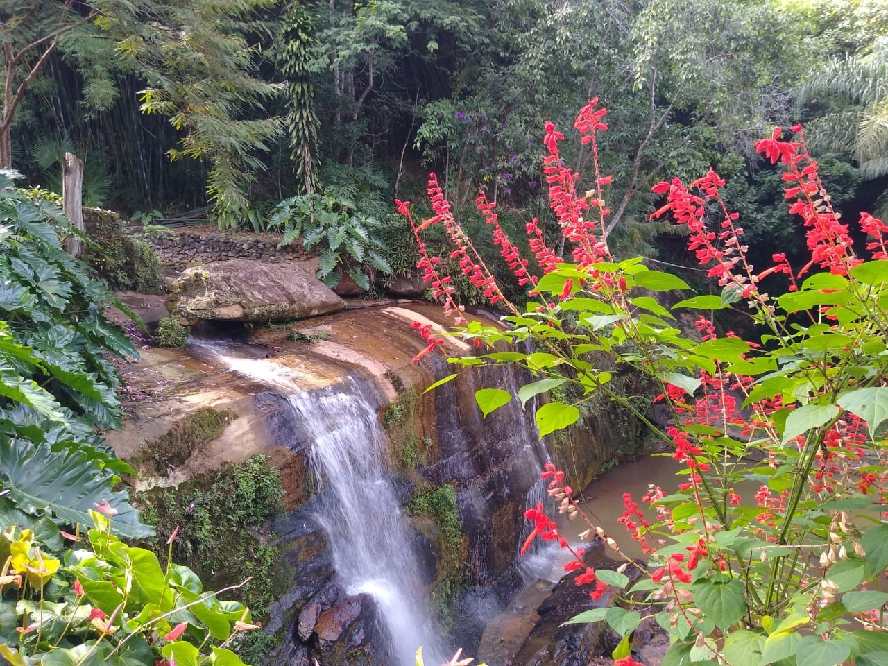 Parque Cachoeira do Rosalvo