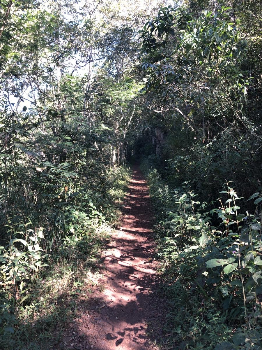 Açude de Matozinhos