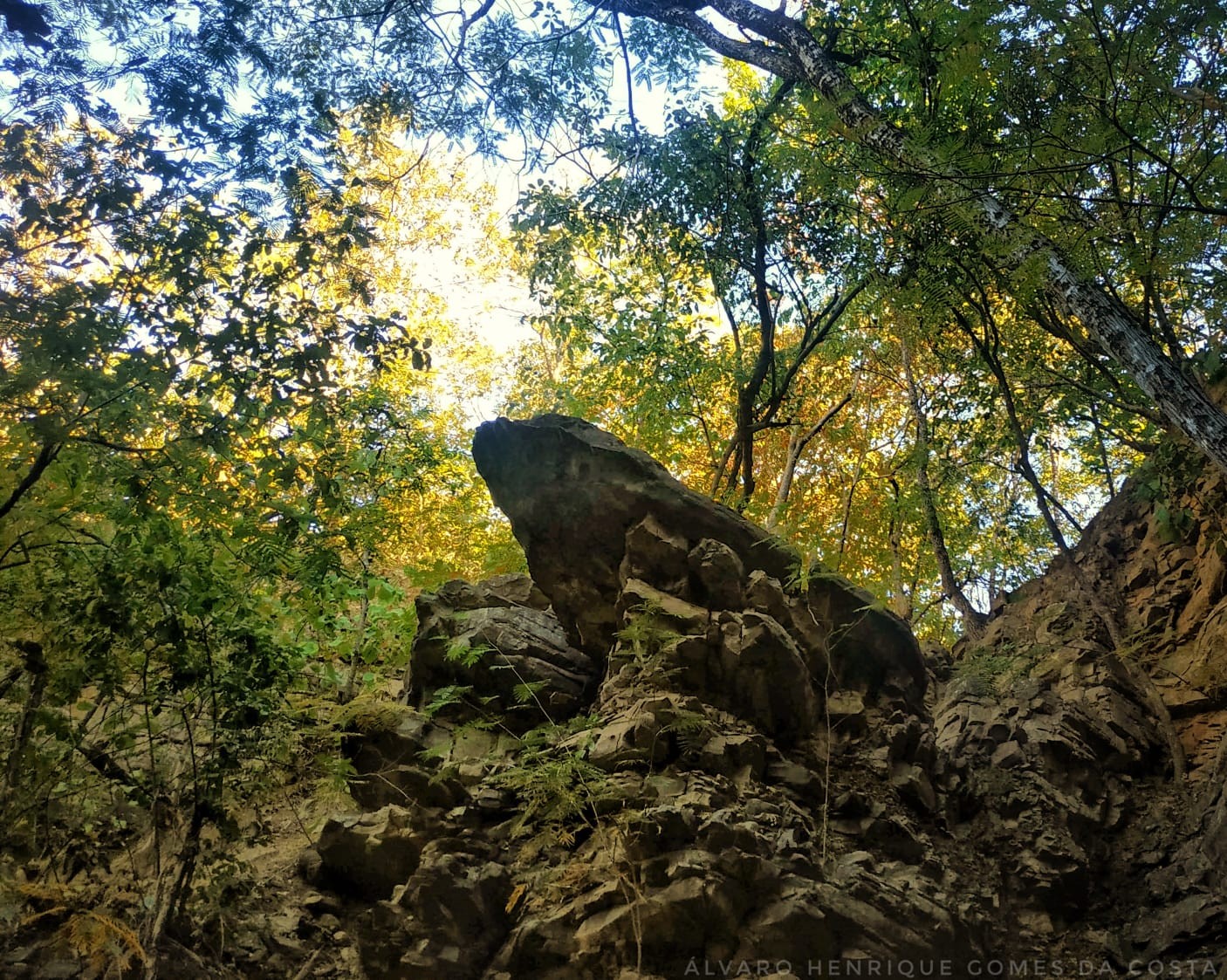 Pedra do Rei Leão