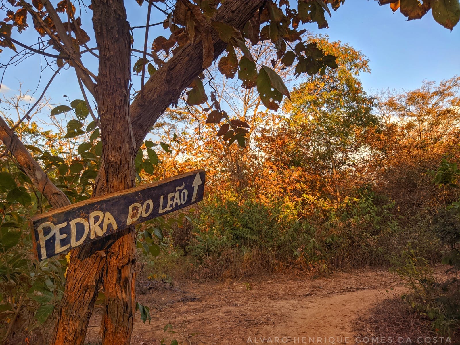 Pedra do Rei Leão